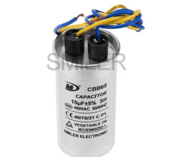 the capacitors from SMILER
